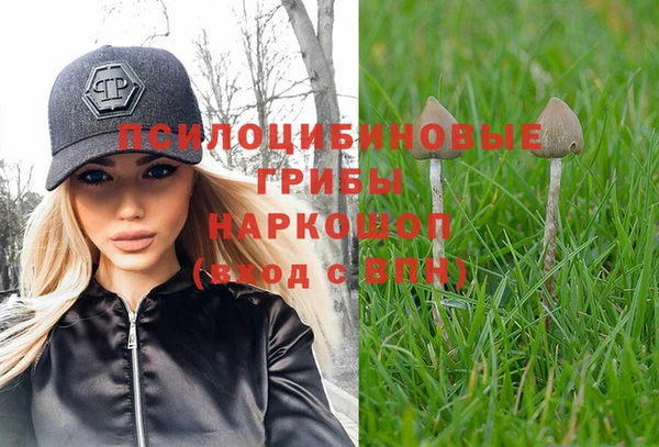 каннабис Белокуриха