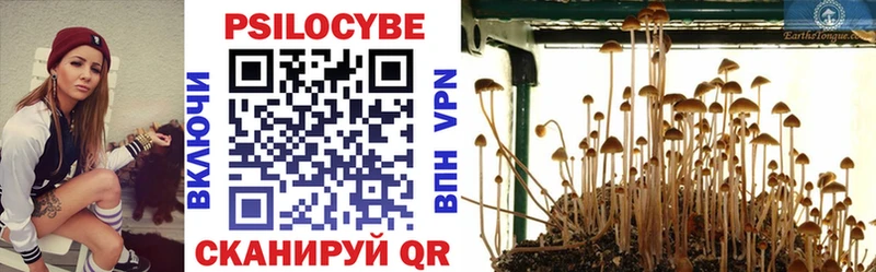 гидра зеркало  купить наркоту  Воскресенск  Псилоцибиновые грибы MAGIC MUSHROOMS 